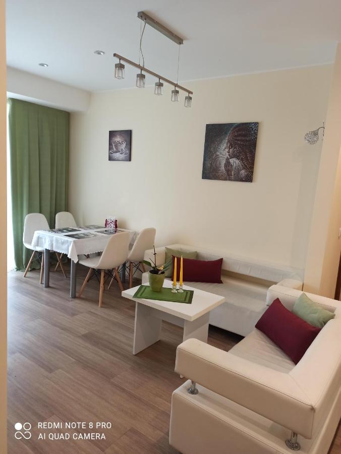 Nelli Apartamentai Druskininkai Exteriér fotografie